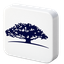 WisdomTree